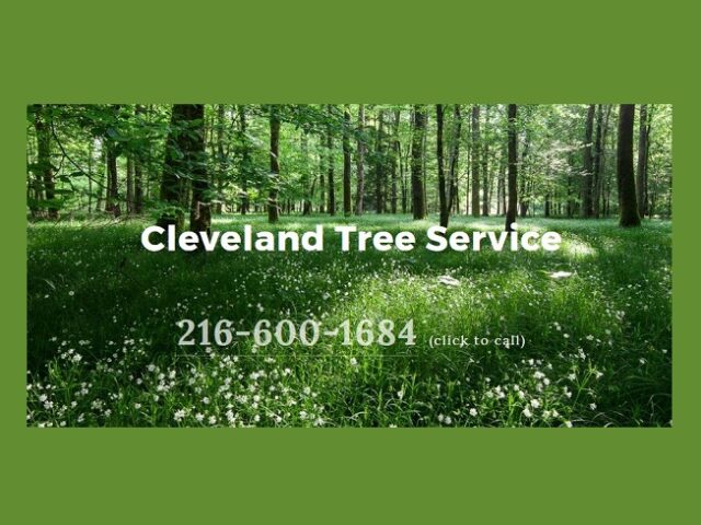 Cleveland Tree Service