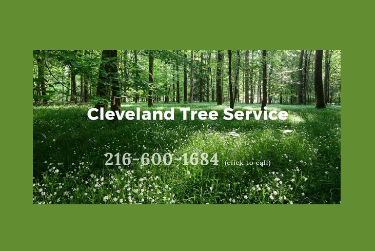 Cleveland Tree Service