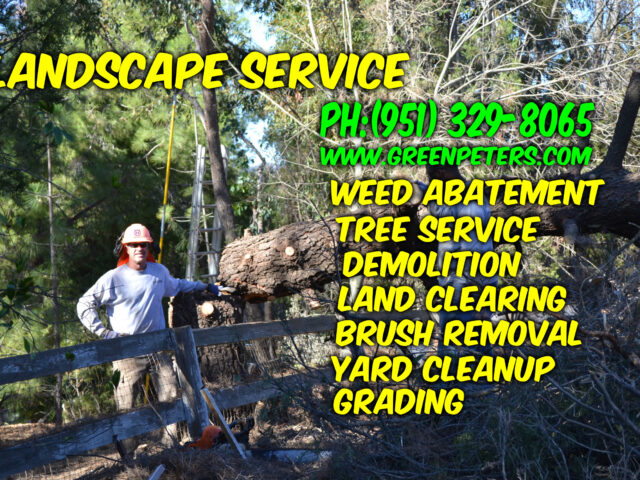 Affordable Weed Abatement & Tractor Services