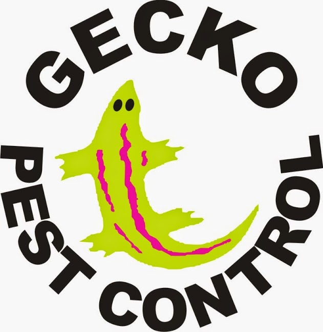 Gecko Pest Control